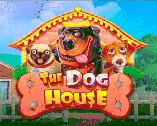 play the dog house in goldzino3 casino